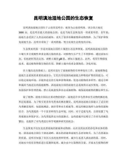 昆明滇池湿地公园的生态恢复