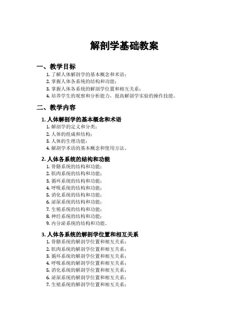 解剖学基础教案