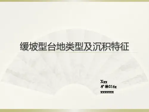 缓坡型台地类型及沉积特征(碳酸盐岩与油气储层作业)