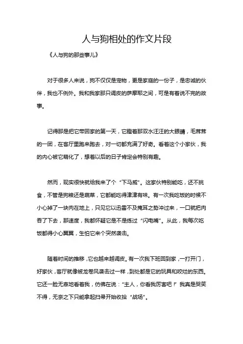 人与狗相处的作文片段