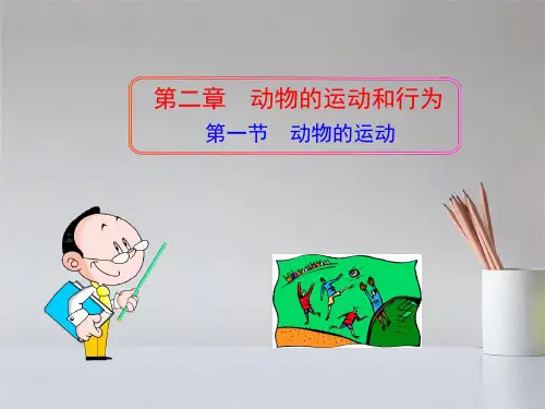 新人教版八年级生物上册第一节动物的运动课件
