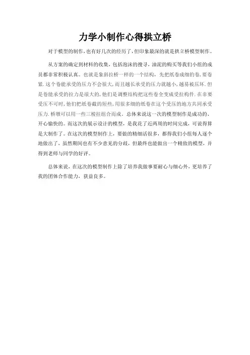 力学小制作心得拱立桥