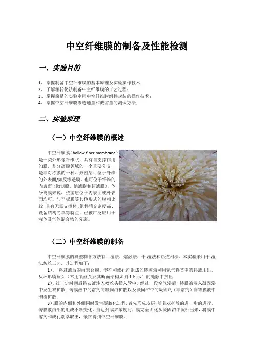 综合实验-中空纤维膜的制备