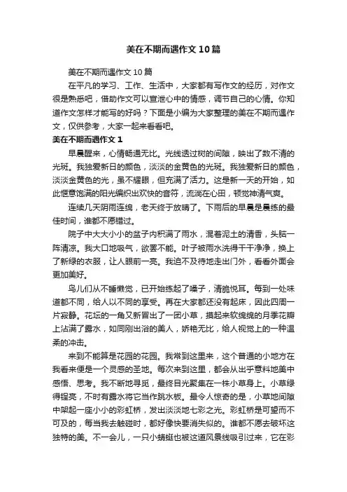 美在不期而遇作文10篇