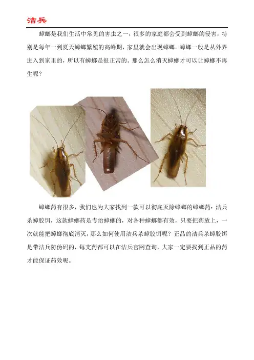 怎样消灭蟑螂不再生