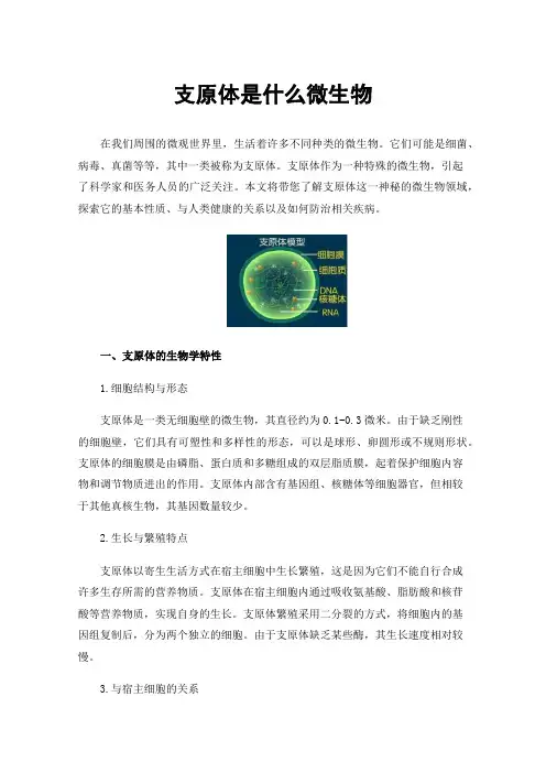 支原体是什么微生物