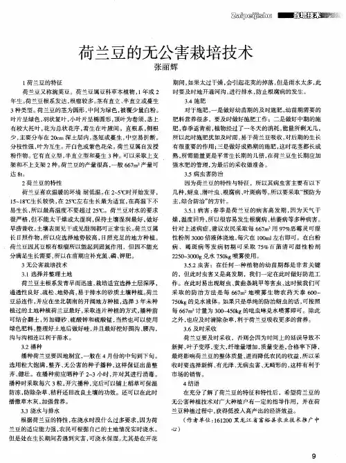 荷兰豆的无公害栽培技术