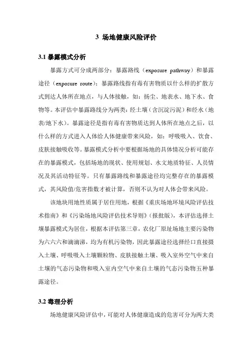 3 场地健康风险评价
