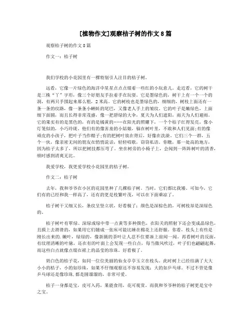 [植物作文]观察桔子树的作文8篇