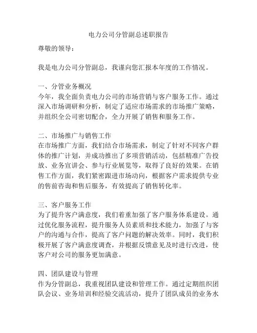 电力公司分管副总述职报告