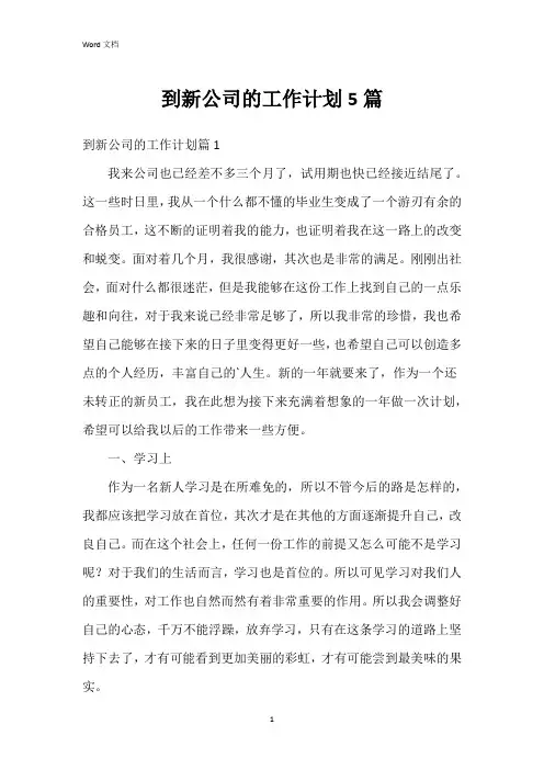 到新公司的工作计划5篇