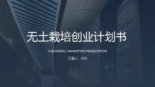 无土栽培创业计划书