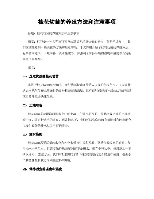 桂花幼苗的养殖方法和注意事项