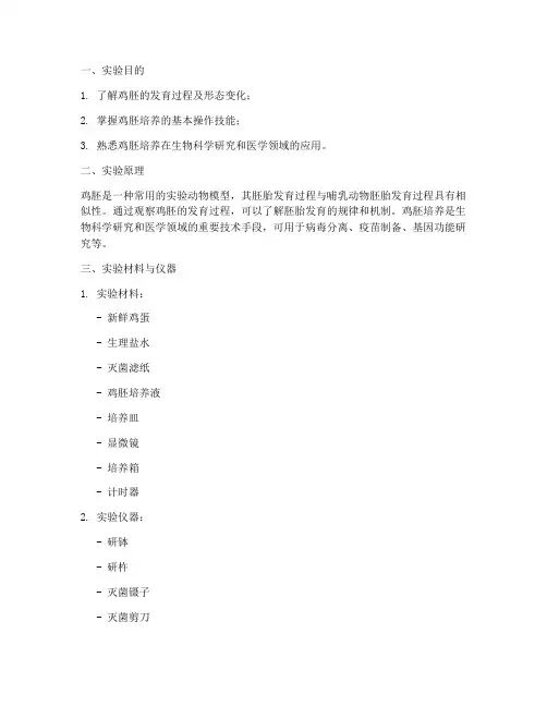 鸡胚实验报告