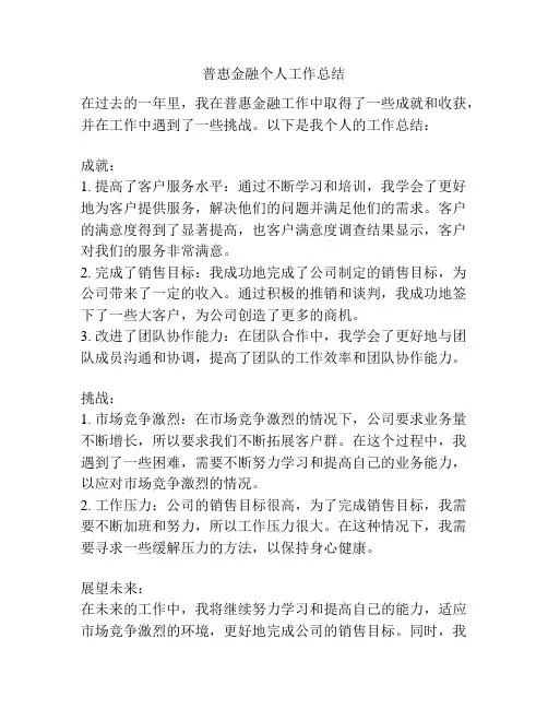 普恵金融个人工作总结