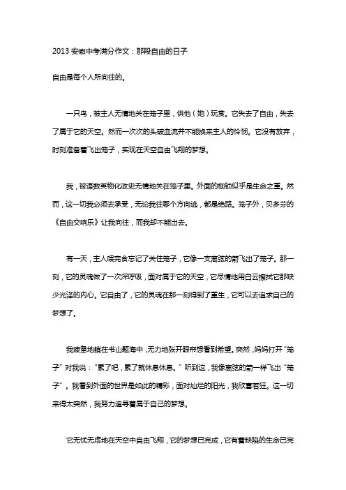 2013安徽中考满分作文