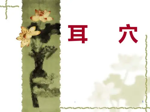 耳---穴PPT课件