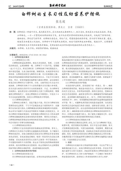 白桦树的生长习性及幼苗养护措施