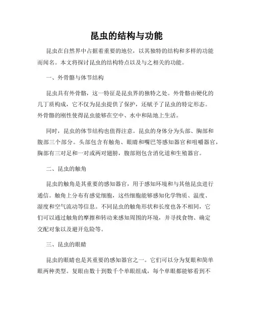 昆虫的结构与功能