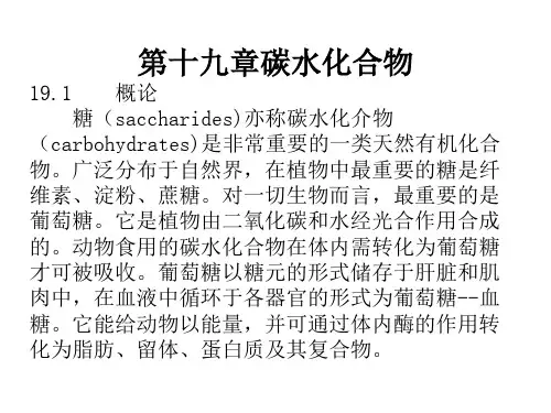 有机化学 第十九章碳水化合物