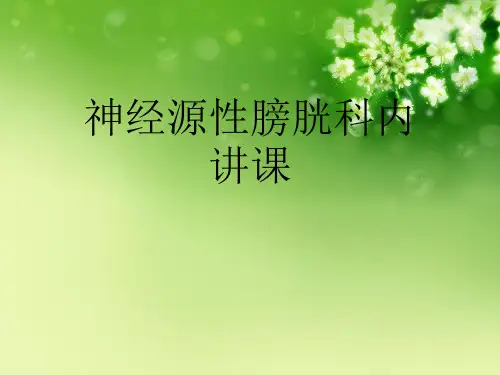 神经源性膀胱科内讲课优秀课件