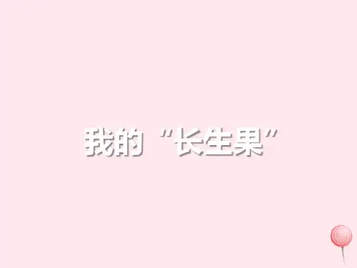 五年级语文上册第八单元27我的长生果 新人教版