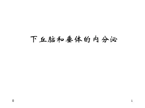内分泌2下丘脑和垂体的内分泌