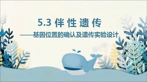 高中生物1伴性遗传——基因位置的确认及遗传实验设计