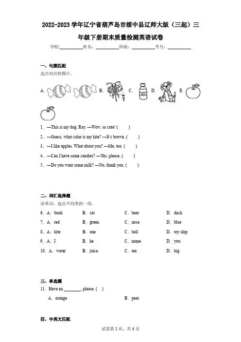 2022-2023学年辽宁省葫芦岛市绥中县辽师大版(三起)三年级下册期末质量检测英语试卷