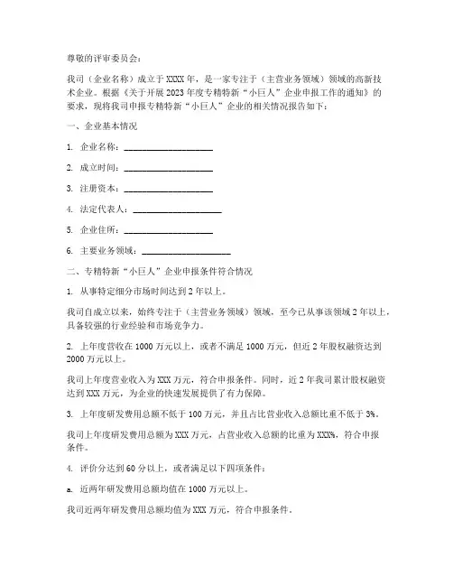 专精特新申请书
