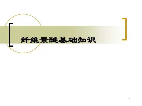 纤维素醚基础知识PPT课件