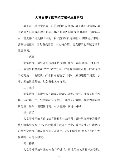 大富贵椰子的养殖方法和注意事项