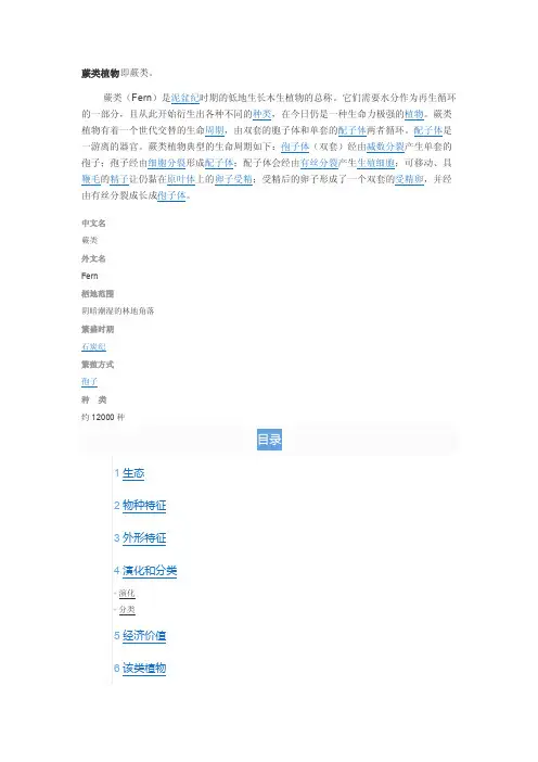 蕨类植物即蕨类