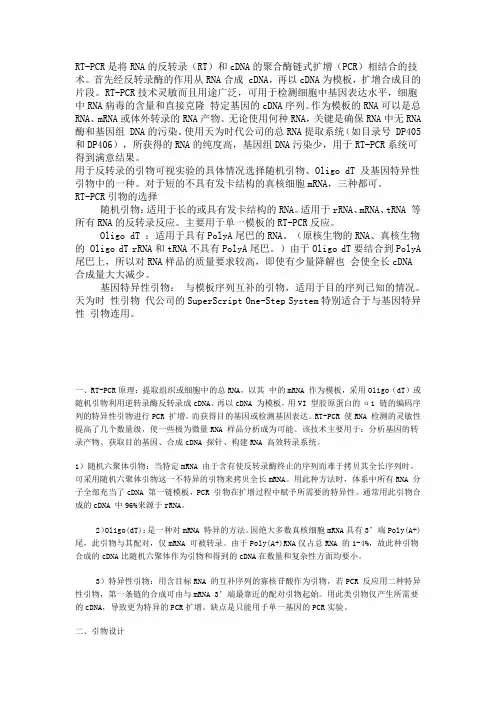 RT-PCR操作流程