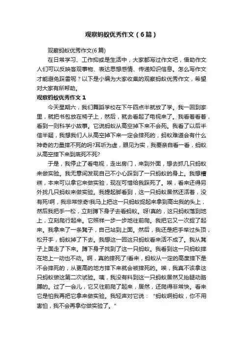 观察蚂蚁优秀作文（6篇）