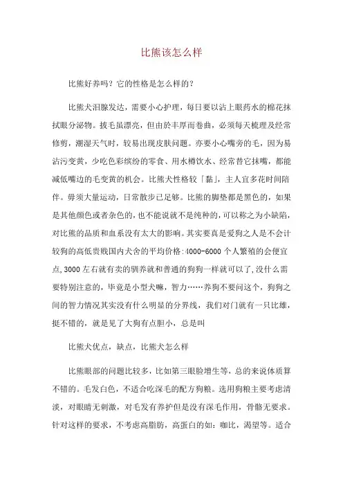 比熊该怎么样
