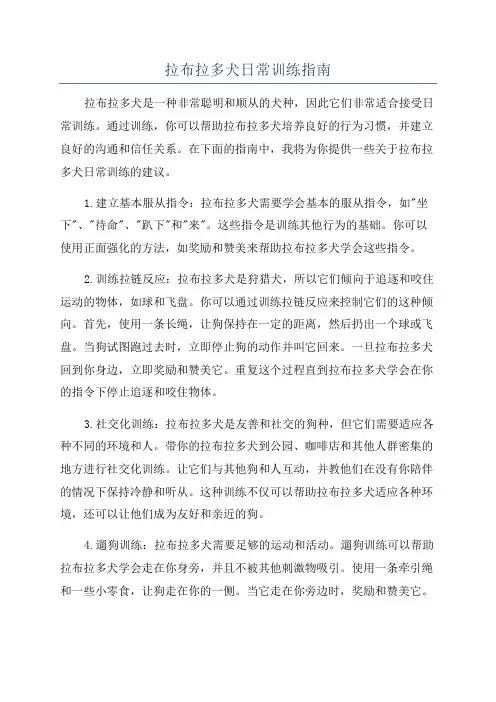 拉布拉多犬日常训练指南