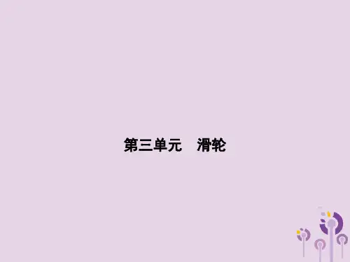 浙江省中考科学(物理部分)第三篇主题3第三单元滑轮(课件22张)