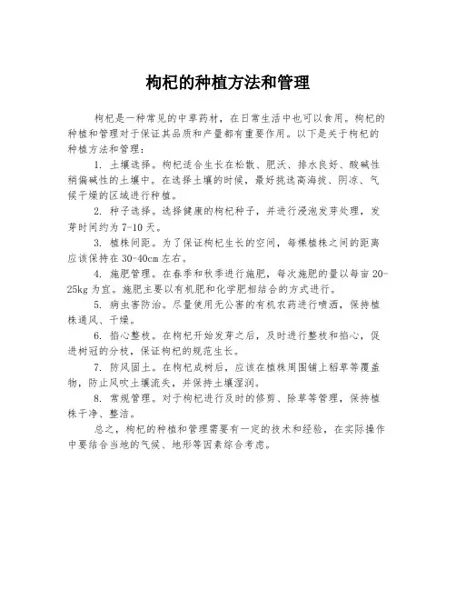 枸杞的种植方法和管理