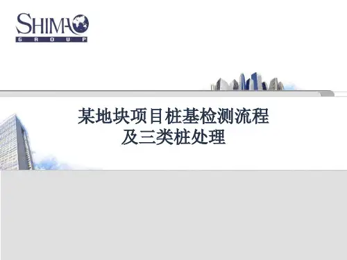 某地块项目桩基检测流程及三类桩处理参考资料