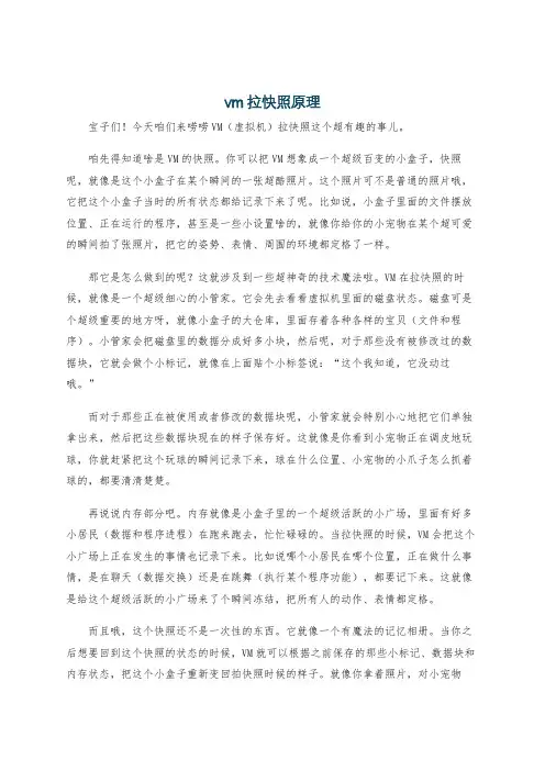 vm拉快照原理