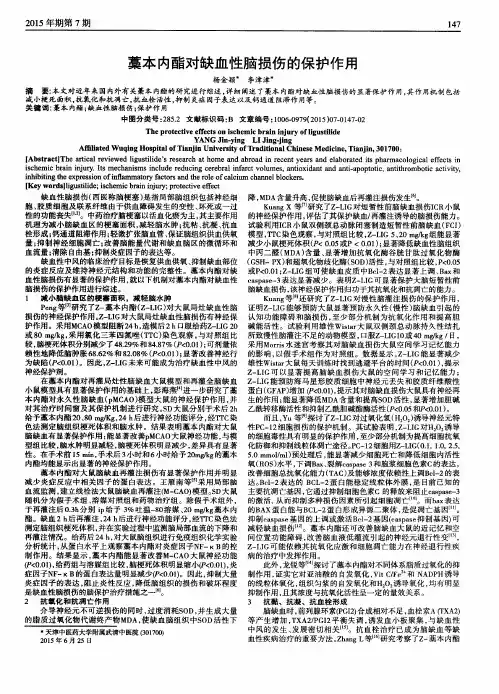 藁本内酯对缺血性脑损伤的保护作用
