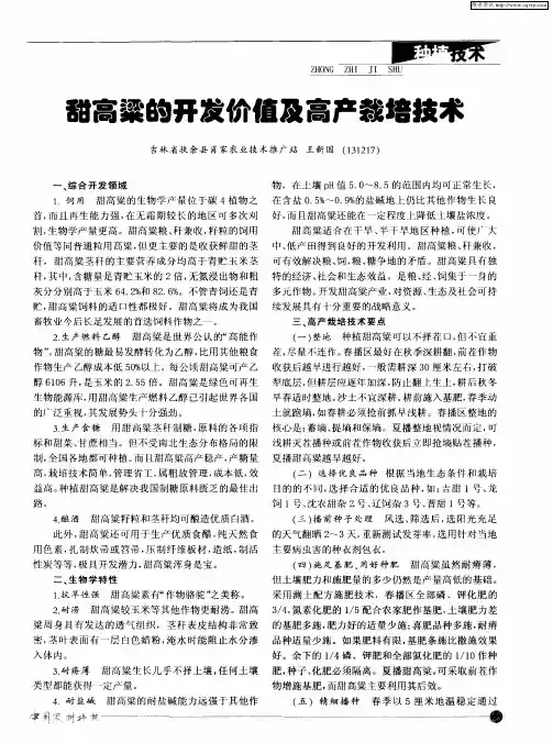 甜高粱的开发价值及高产栽培技术