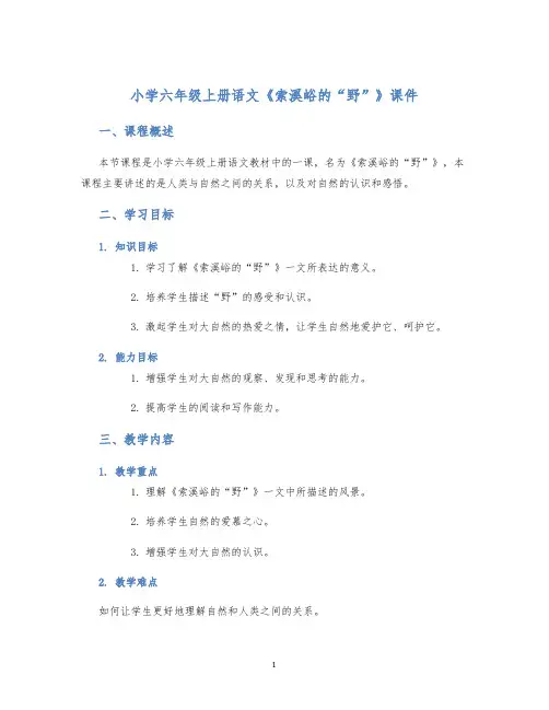 小学六年级上册语文《索溪峪的“野”》课件