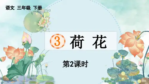 3.《荷花》第二课时课件(共23张PPT)
