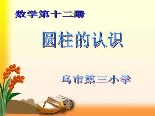 六年级下册数学课件圆柱的认识人教版 (20)PPT(共24页)PPT