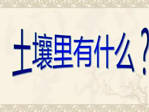 四年级下册科学3.7土壤里有什么青岛版