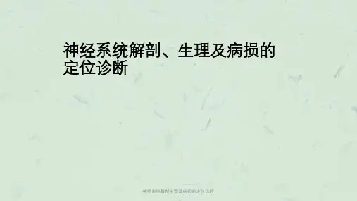 神经系统解剖生理及病损的定位诊断课件