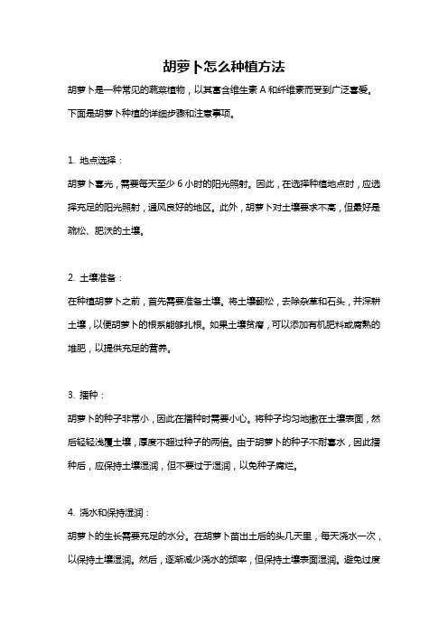 胡萝卜怎么种植方法