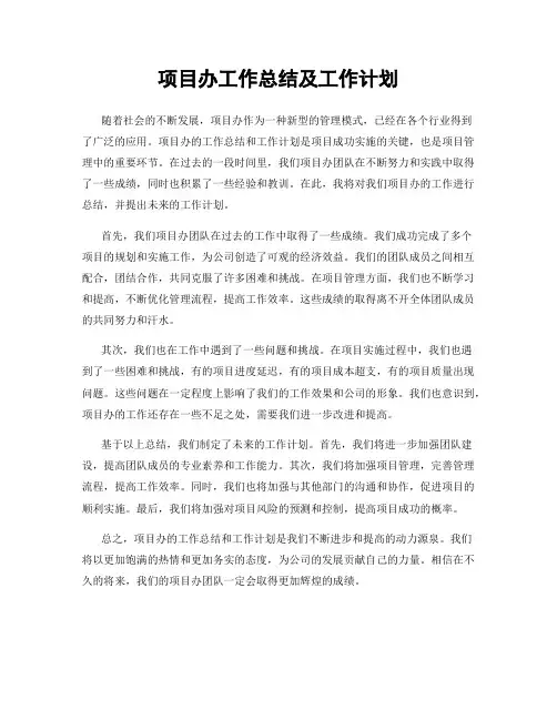 项目办工作总结及工作计划